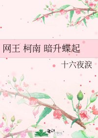 网王 柯南 暗升蝶起